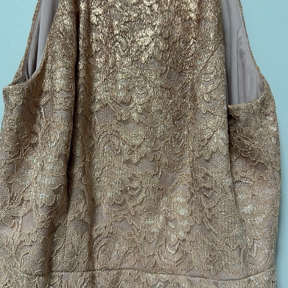 Adrianna Papell Rose Gold Lace Dress Size 6 - Picture 6 of 8